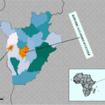 Tuberculosis mortality and drug resistance among patients under TB treatment before and during COVID-19 in Burundi: a case–control study