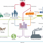 From COVID-19 Pandemic Pivot to Progress: Blended Work as a Pathway to Greener African Cities